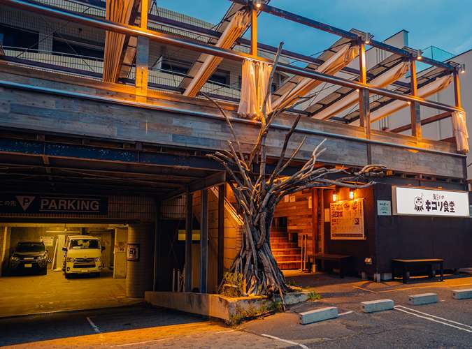 海沿いの キコリ食堂