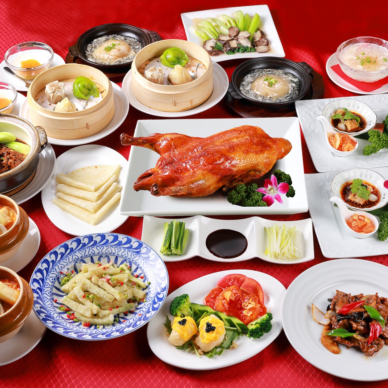 【全 11品 】飛龍コース【２時間飲み放題付き8,000円】