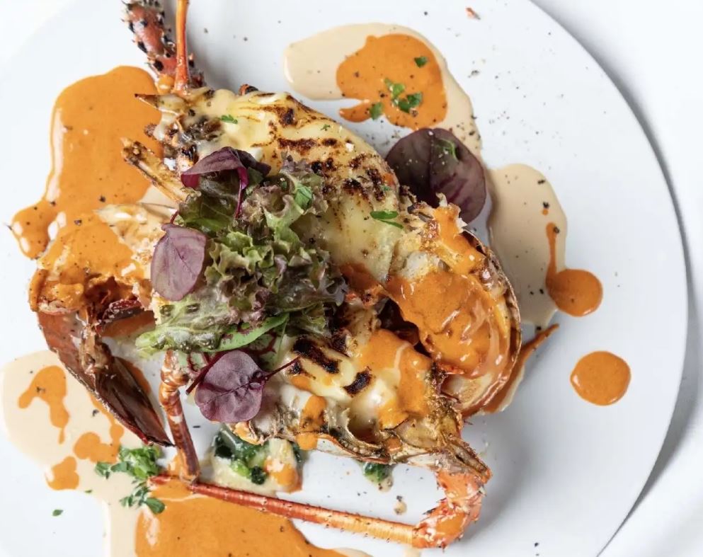 パーフェクトプラン/料理13品+フリードリンク