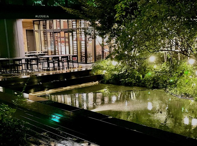 スペシャルプラン