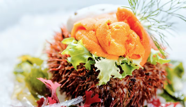 【成人式プラン②】ビュッフェ+フリードリンク